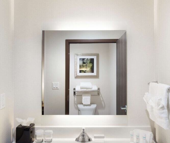 Студио Стандарт Кровать Кинг, Homewood Suites By Hilton Houston / Katy Mills Mall