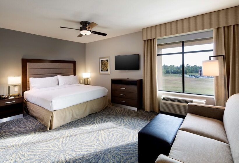 带大床的套房, Homewood Suites By Hilton Houston / Katy Mills Mall