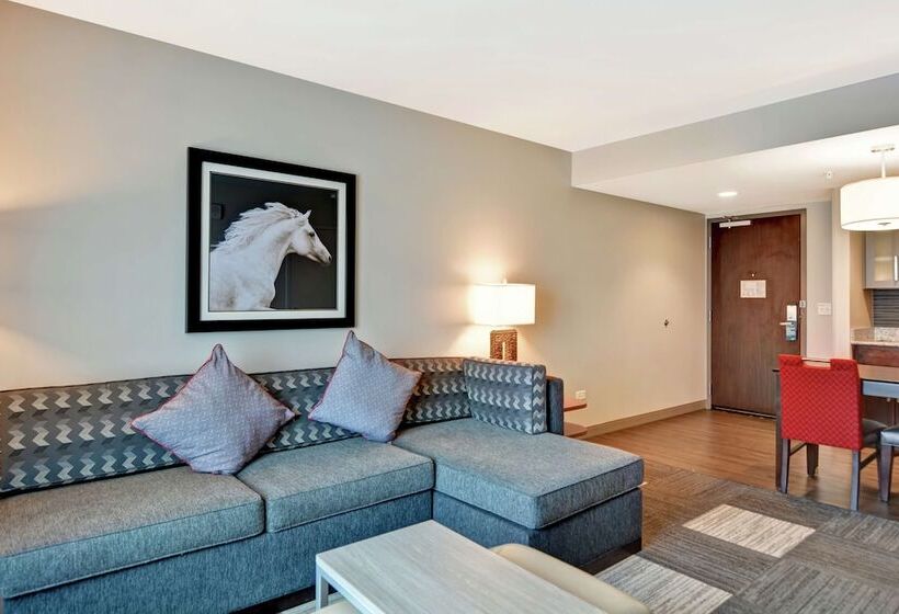 Люкс, Homewood Suites By Hilton Techridge Parmer @ I 35