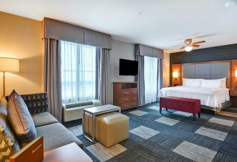 Studio Standard Lit King Size, Homewood Suites By Hilton Techridge Parmer @ I 35