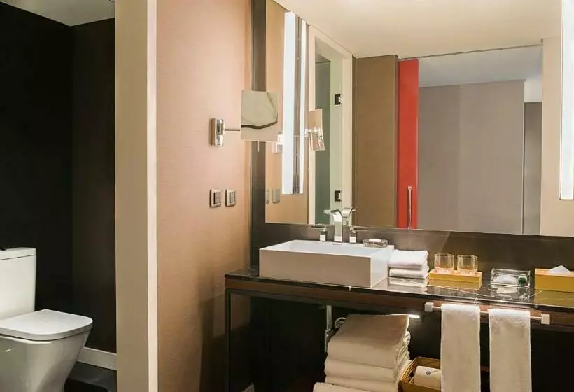 スタンダードルーム, Hyatt Centric Montevideo