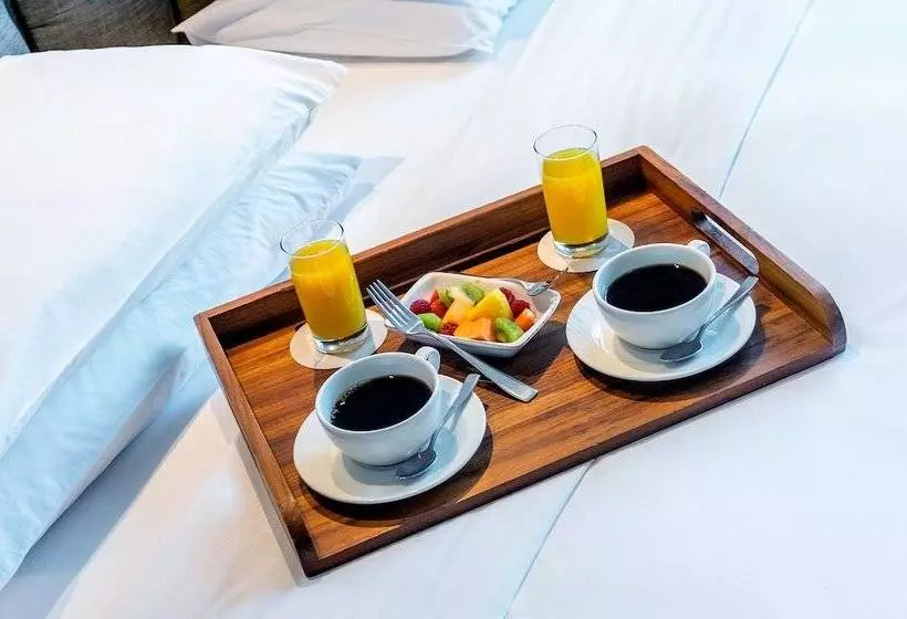 ジュニアスイート, Hyatt Centric Montevideo