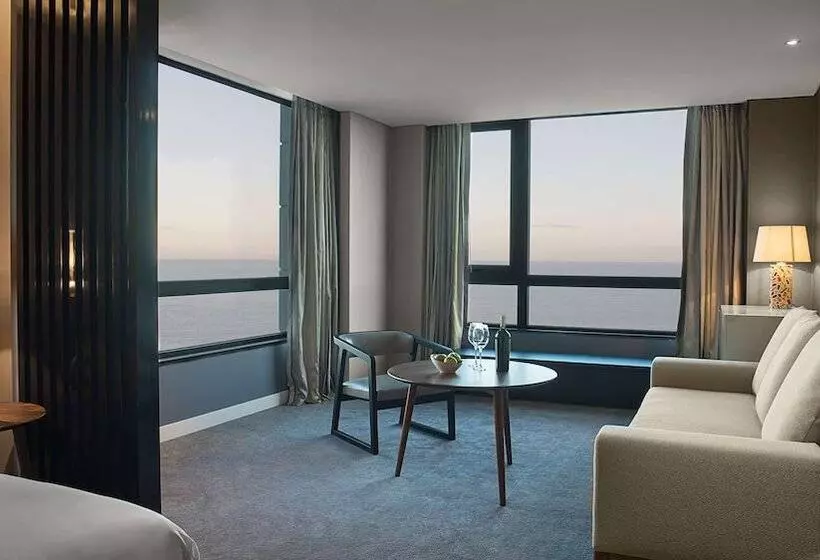 ジュニアスイート, Hyatt Centric Montevideo