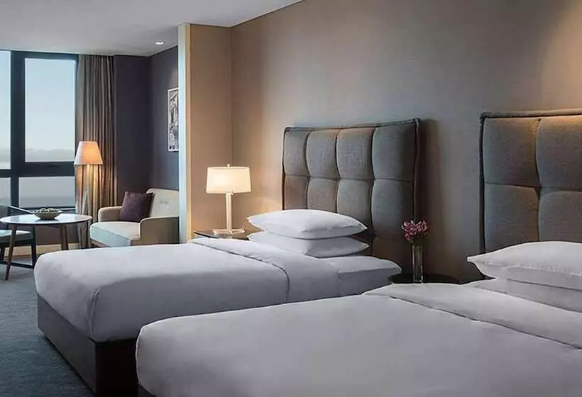 スタンダードルーム, Hyatt Centric Montevideo