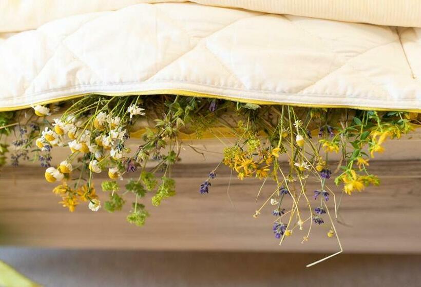 غرفة قياسية, Kräuterhotel Garni Zur Klostergrotte