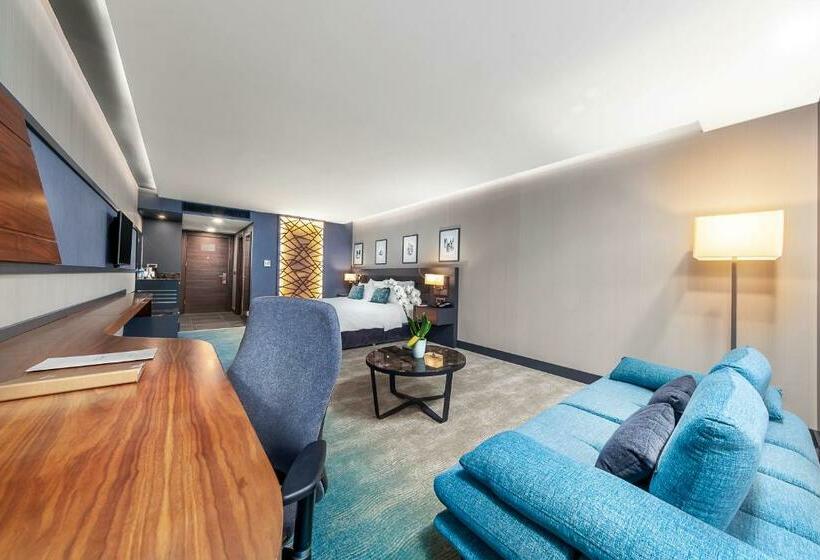 带城市景观的高级房间, Park Dedeman Trabzon