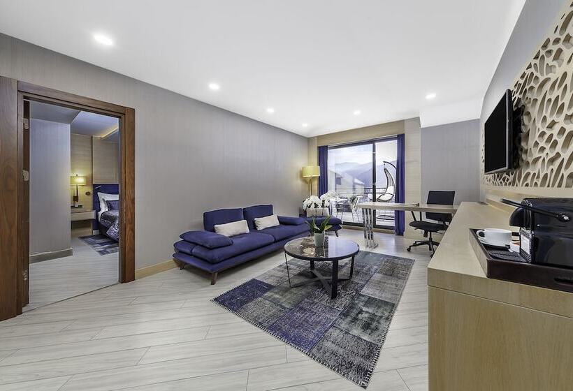 行政套房, Park Dedeman Trabzon