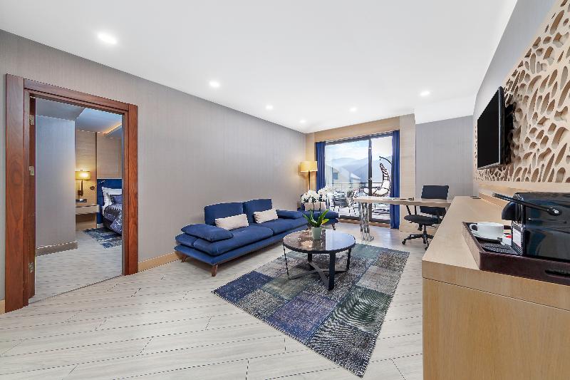 琮城市景观的豪华间, Park Dedeman Trabzon