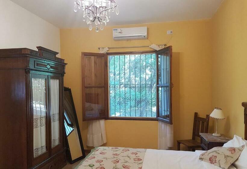 Номер Стандарт, Posada Del Olivo