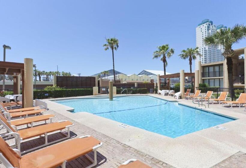 شقة غرفتين, Sea Vista