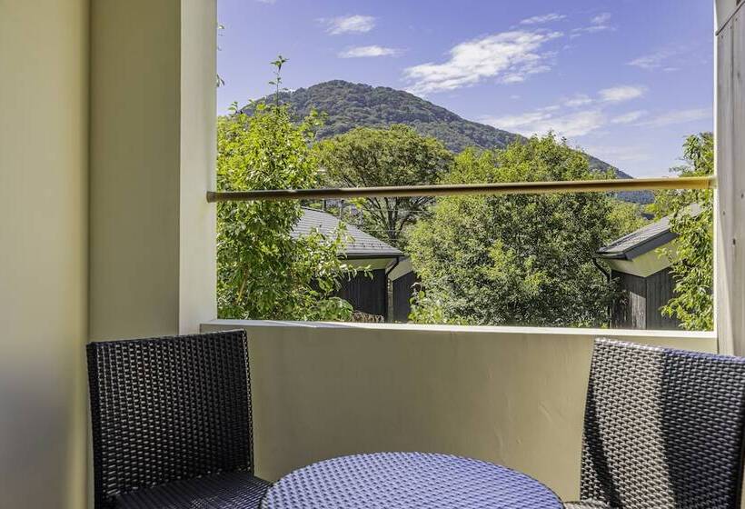 スーペリアールーム, Sengokuhara Shinanoki Ichinoyu