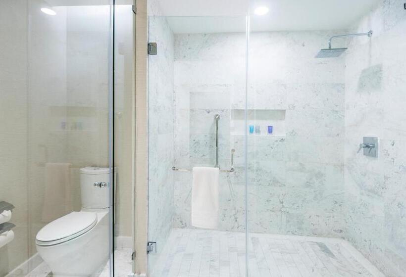 Suite with Terrace, Tower San Luis Potosi