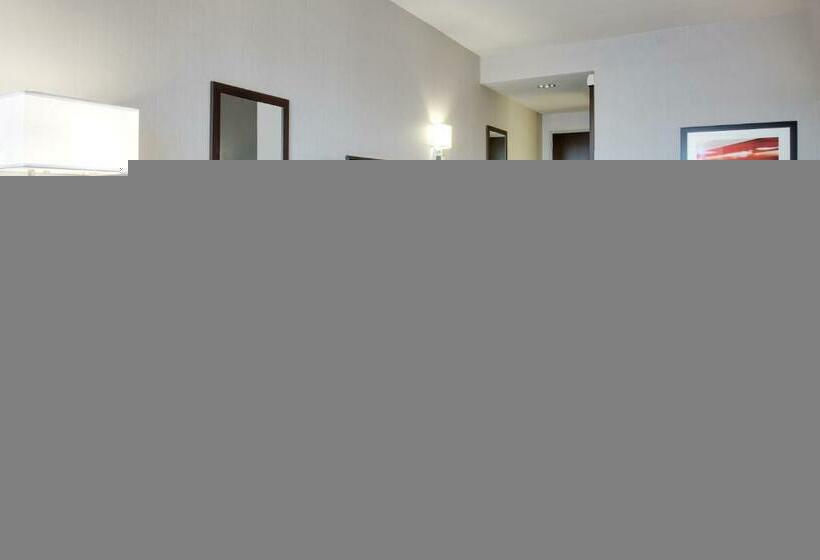 غرفة قياسية, Wingate By Wyndham San Angelo