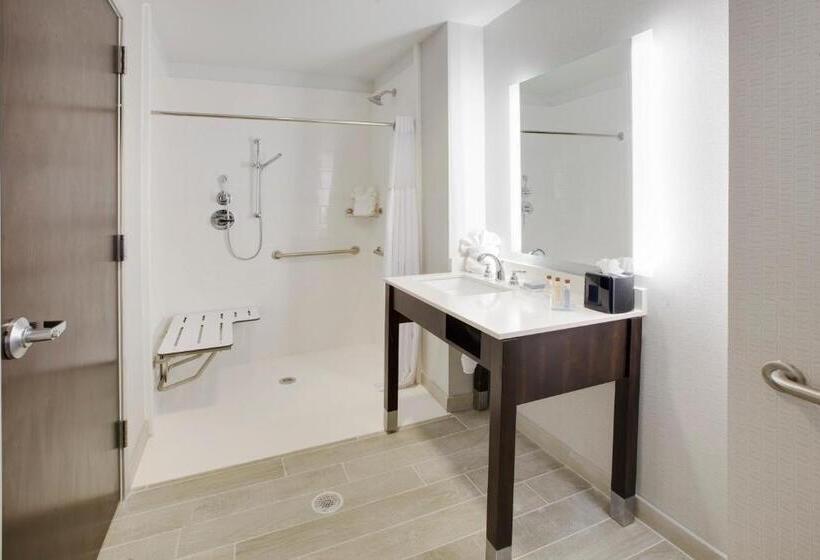 Номер Стандарт Кровать Кинг Адаптированный для Инвалидов, Wingate By Wyndham San Angelo