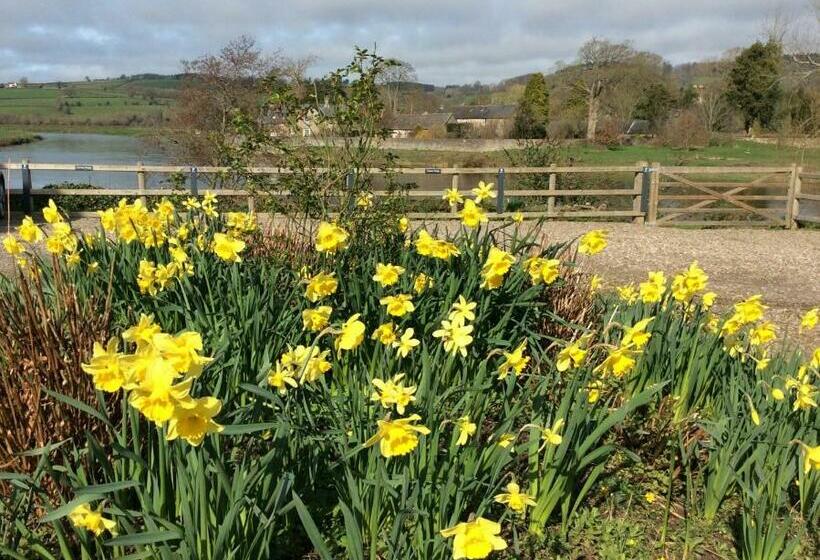 חדר סטנדרט נוף לגינה, Aberllynfi Riverside Guest House