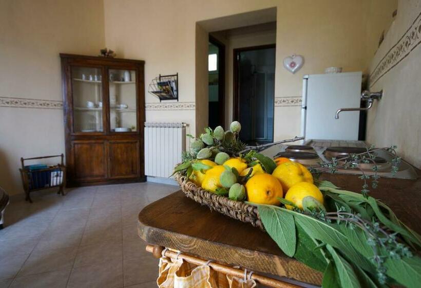 带1个卧室的带海景的公寓, Agriturismo Ss Annunziata
