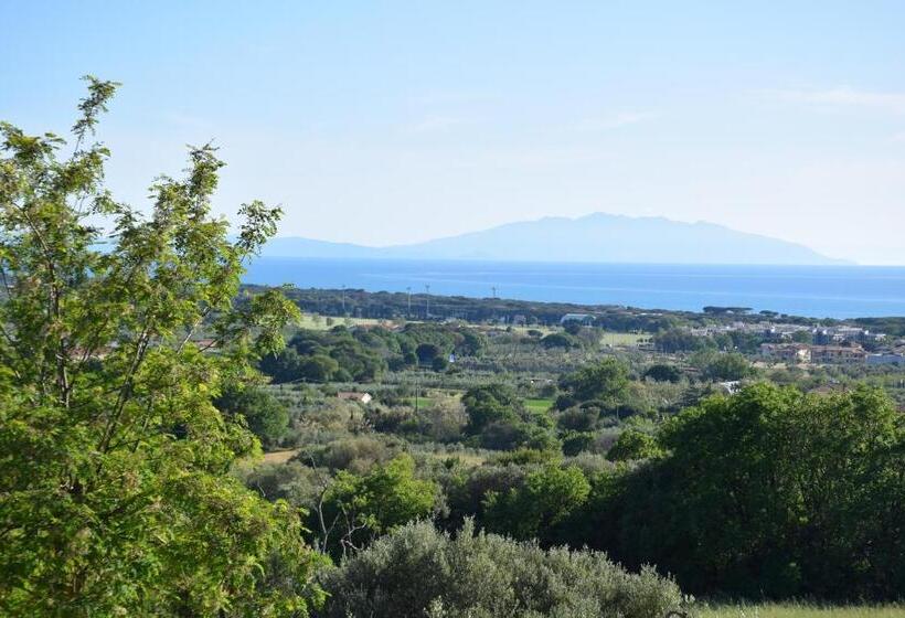 テラス付き１ベッドルームアパートメント, Agriturismo Ss Annunziata