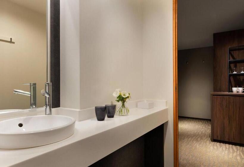 Camera Deluxe, Courtyard By Marriott Hakuba