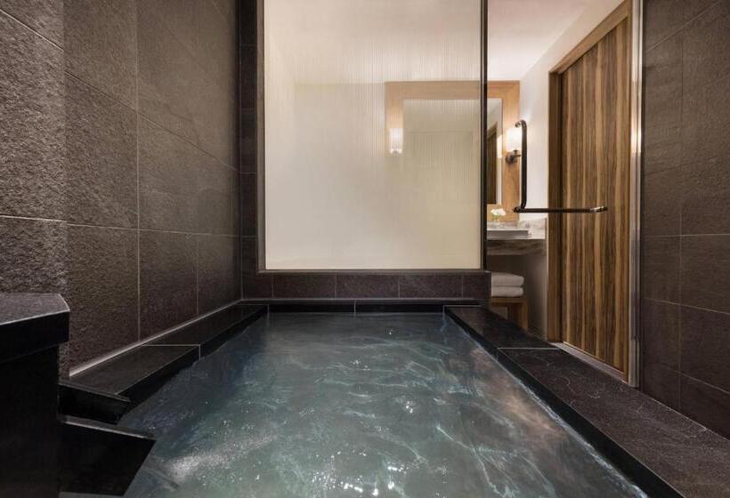 Camera Standard Letto King, Courtyard By Marriott Hakuba