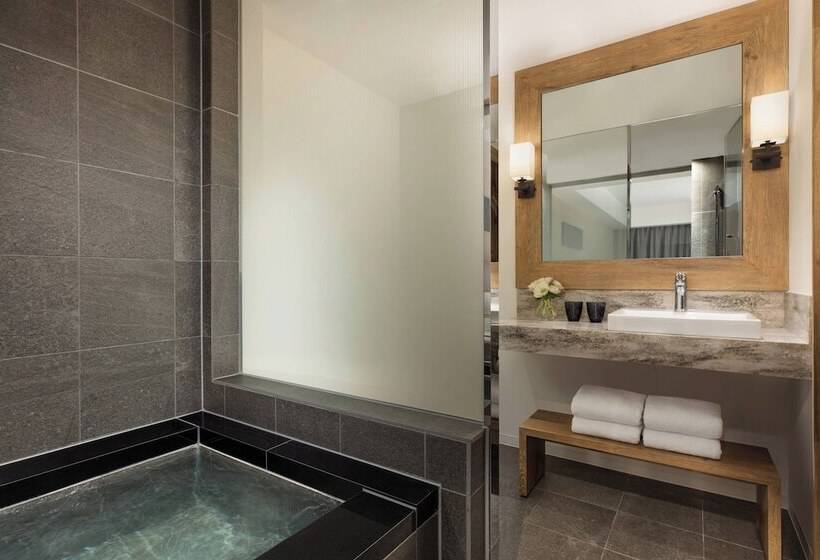 Camera Standard, Courtyard By Marriott Hakuba