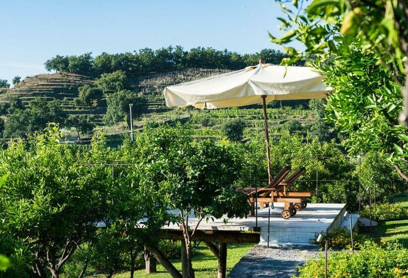 套房, Monaci Delle Terre Nere