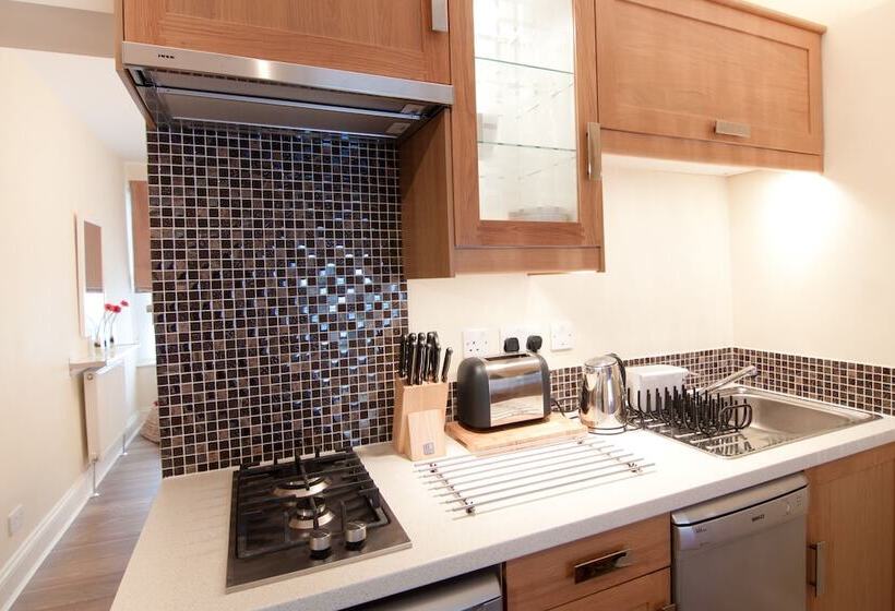 带1个卧室的经典公寓, Shq Apartments