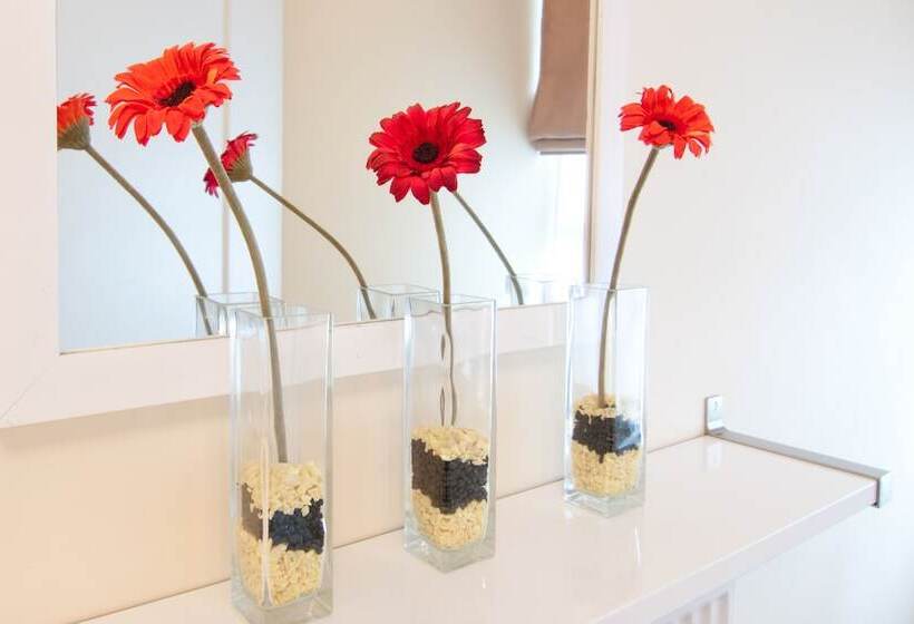 带1个卧室的经典公寓, Shq Apartments