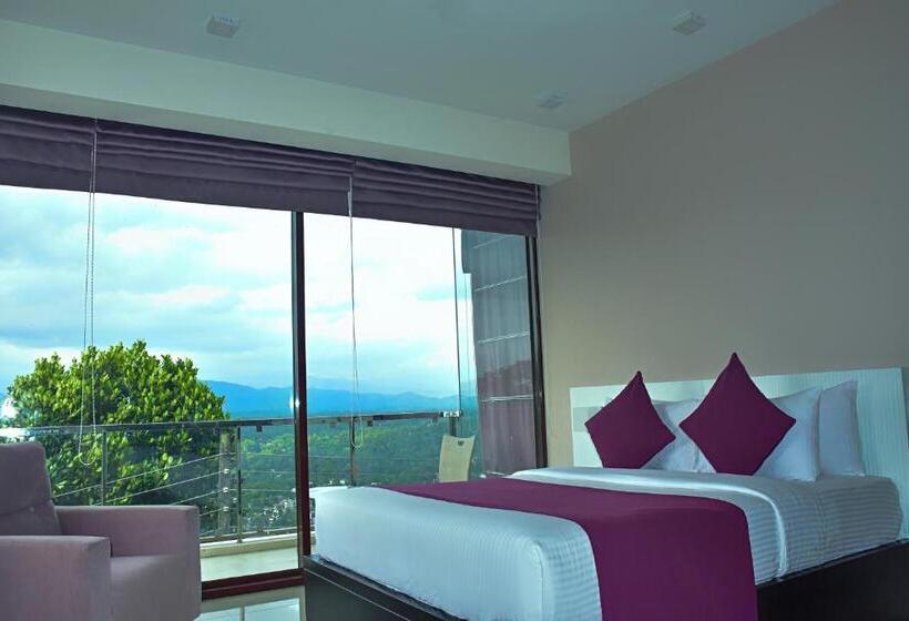 Номер Superior, View 360