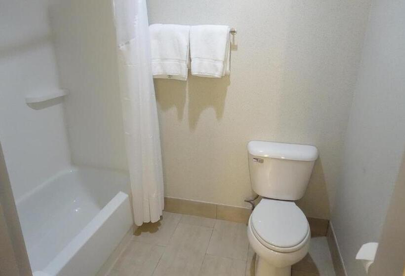 스위트 킹사이즈 침대, Holiday Inn Express & Suites Brentwood By Ihg