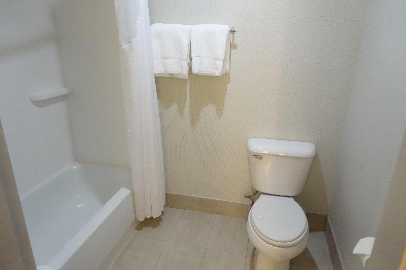 스탠다드 룸 킹사이즈 침대, Holiday Inn Express & Suites Brentwood By Ihg