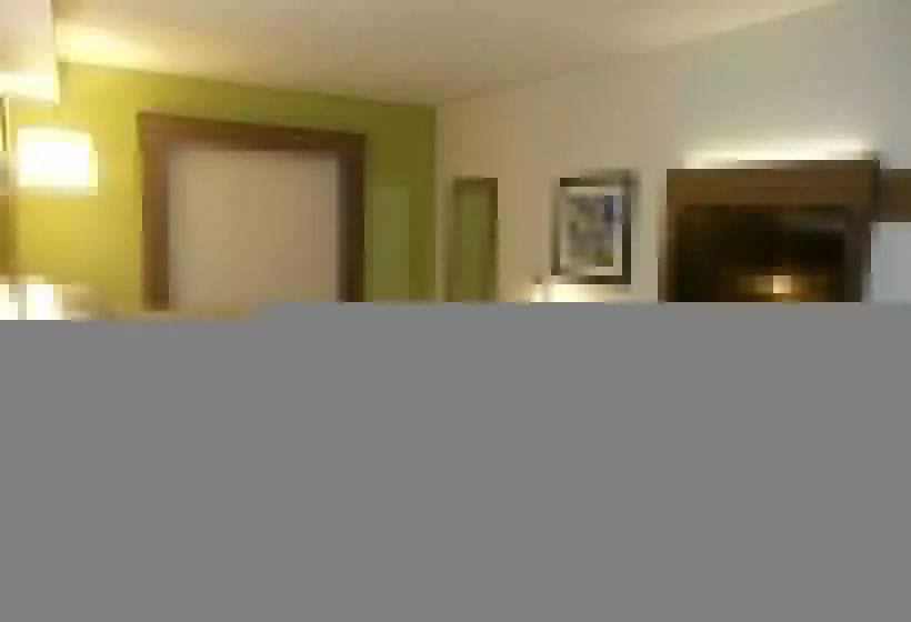 障害者適応デラックスルーム, Holiday Inn Express & Suites Brentwood By Ihg