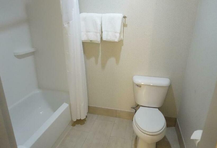 스탠다드 룸 킹사이즈 침대, Holiday Inn Express & Suites Brentwood By Ihg