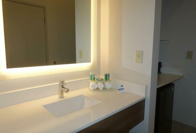 Номер Deluxe Кровать Кинг, Holiday Inn Express & Suites Brentwood By Ihg