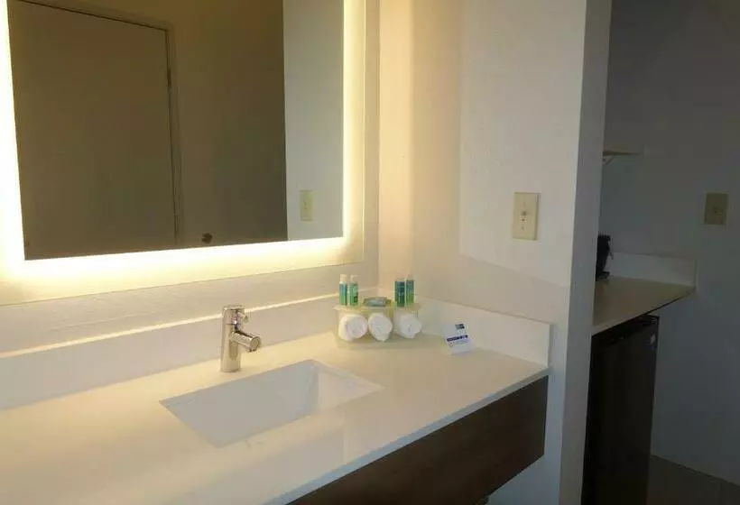キングサイズベッドのデラックスルーム, Holiday Inn Express & Suites Brentwood By Ihg