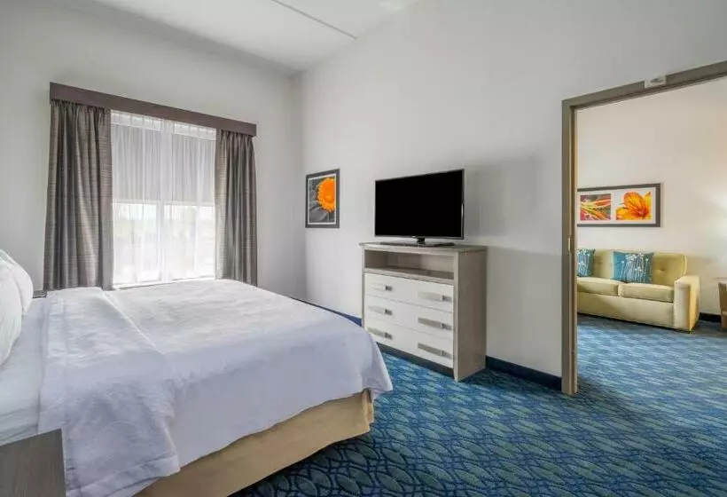 キングサイズベッドのスイートルーム, Homewood Suites By Hilton Philadelphia Plymouth Meeting