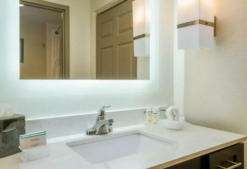 キングサイズベッドのスイートルーム, Homewood Suites By Hilton Philadelphia Plymouth Meeting