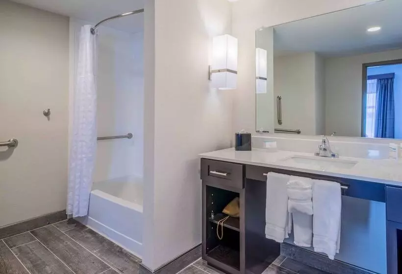 身障者適用スイートルーム, Homewood Suites By Hilton Philadelphia Plymouth Meeting
