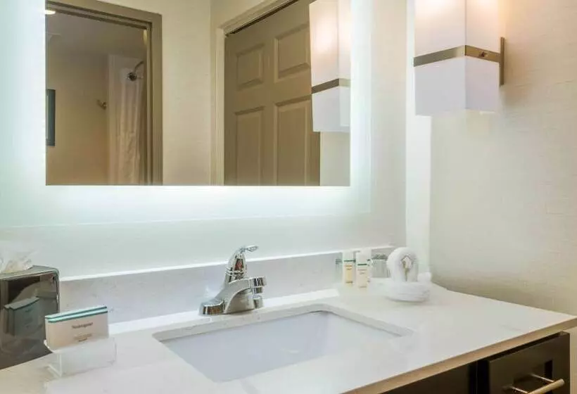 身障者適用スイートルーム, Homewood Suites By Hilton Philadelphia Plymouth Meeting