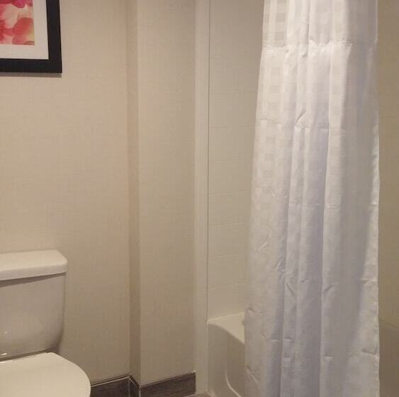 סוויטה מותאמת לאדם עם מוגבלויות, Homewood Suites By Hilton Philadelphia Plymouth Meeting