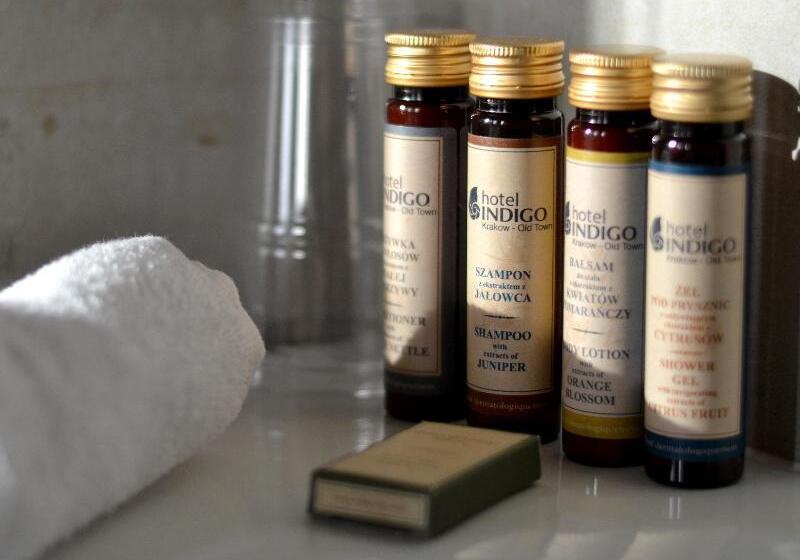 장애인을 위한 스탠다드 룸, Indigo Krakow Old Town, An Ihg