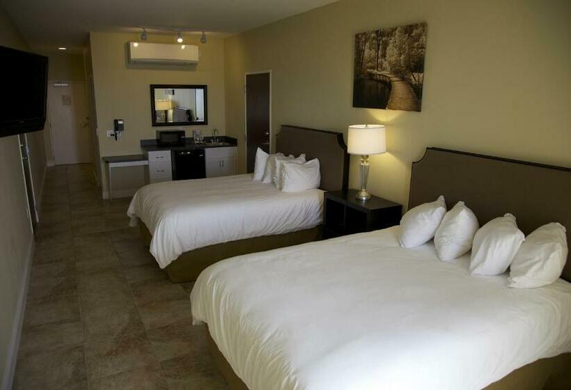 2ダブルベッドのスタンダードルーム, The Citrus On The Lake