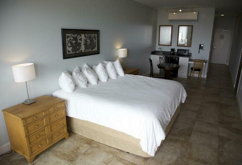 キングサイズベッドのスタンダードルーム, The Citrus On The Lake