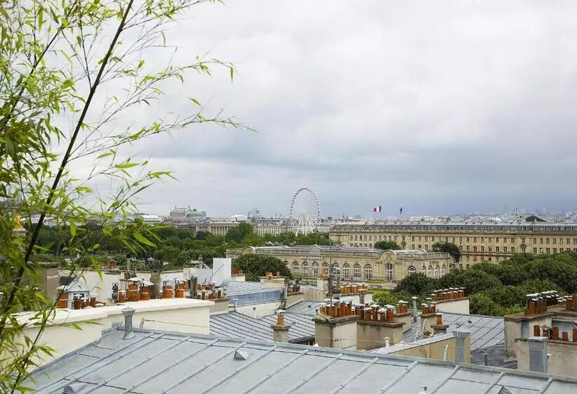 Suite, Le Narcisse Blanc