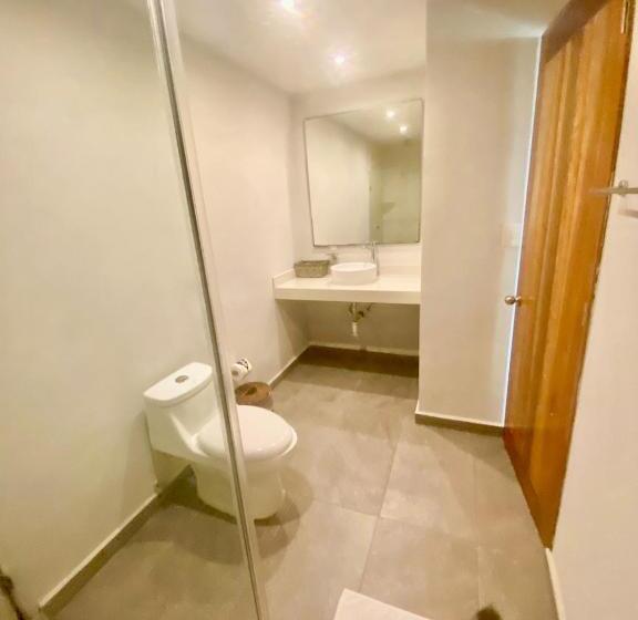 اتاق سوپریور با تخت بزرگ, Playa Canek Beachfront Eco