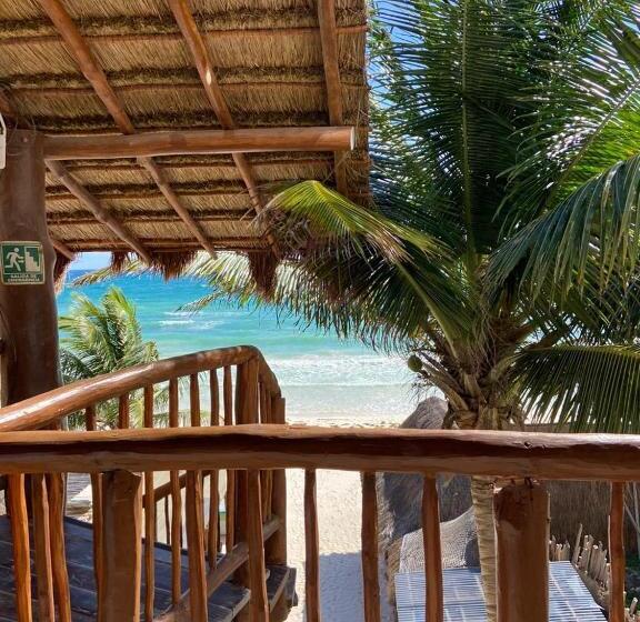 اتاق سوپریور با تخت بزرگ, Playa Canek Beachfront Eco