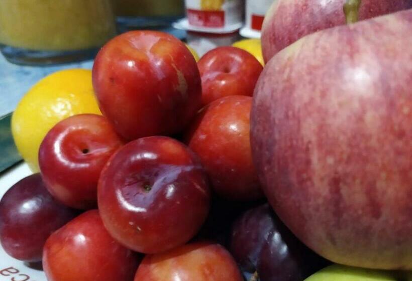 기본룸, Vida Ostra Marina