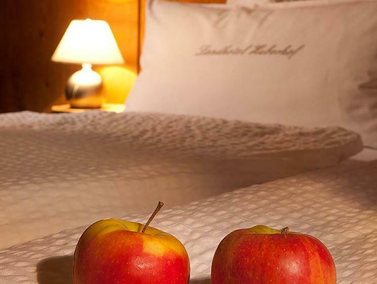 اتاق سوپریور, Landhotel Huberhof