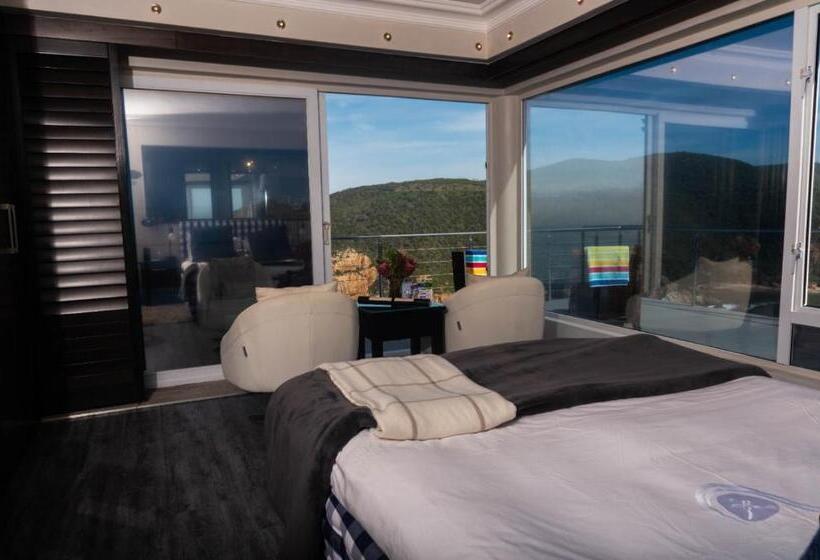 スタンダードルーム, Head Over Hills