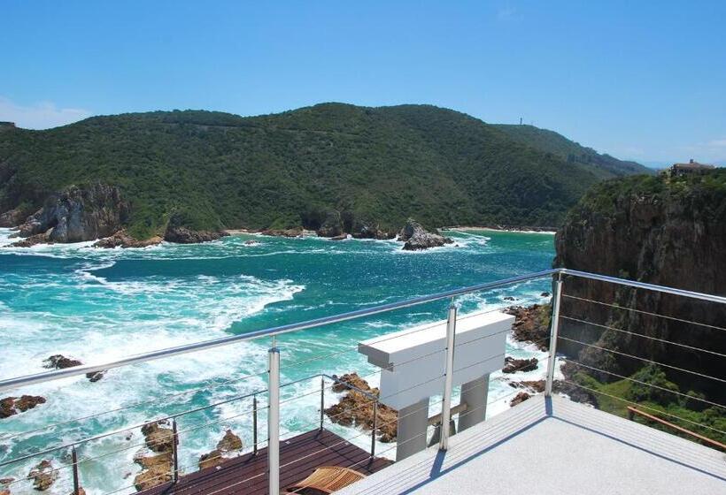 スタンダードルーム, Head Over Hills