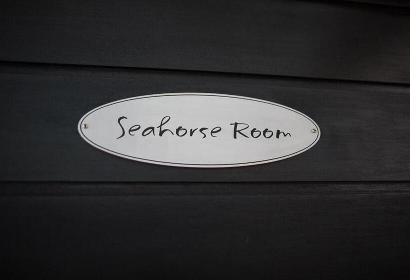 スタンダードルーム, Head Over Hills